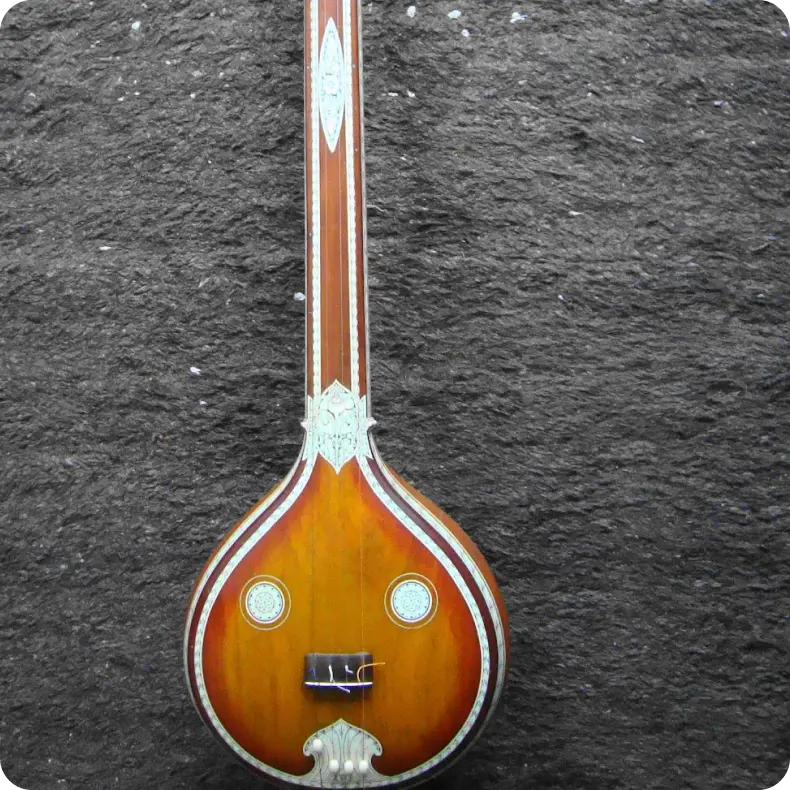 about-tanpura-1